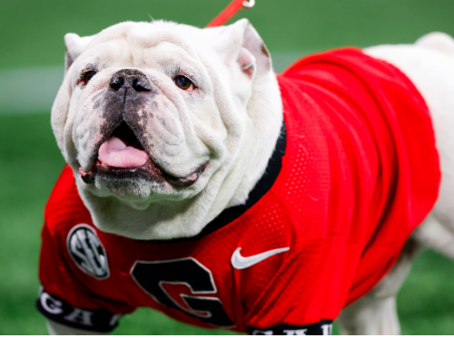 DONE DEAL: Georgia lands commitment of top sensational standout star
