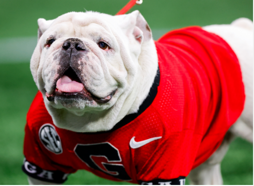 Breaking News: Just In UGA new quarterback files lawsuit against Florida head coach, others over failed $14M NIL deal